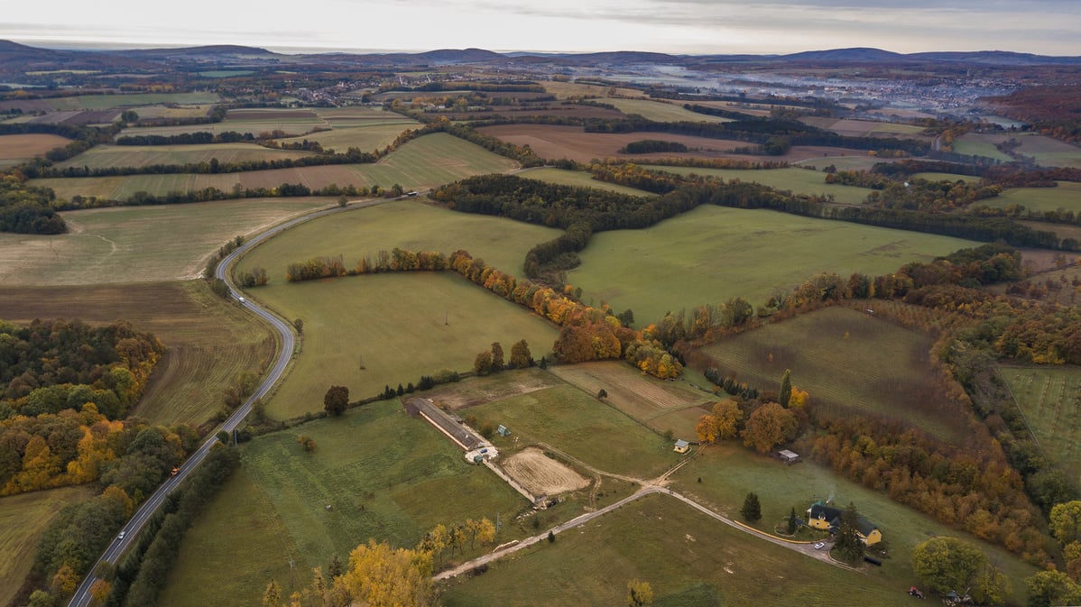 Vast Agricultural Land with Green Grass and Trees